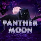 918kiss: Panther Moon