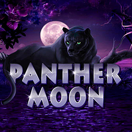 918kiss: Panther Moon